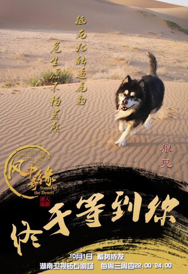 《风中奇缘》星月传奇 Ballad of the Desert 2014 part10