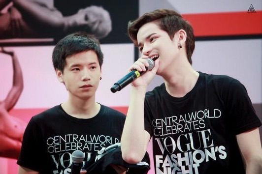 มุ้งมิ้งเต๋าคชา