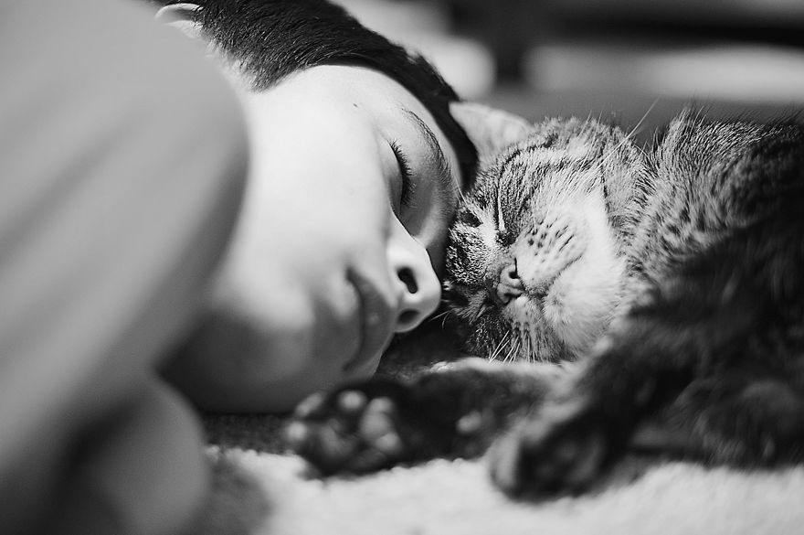 เด็กน้อยปะทะน้องเหมียว น่ารักน่าฟัด :3