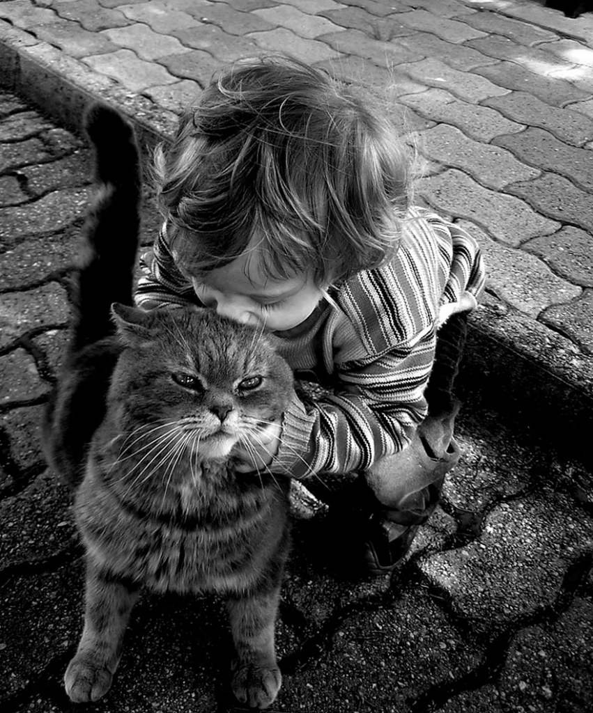เด็กน้อยปะทะน้องเหมียว น่ารักน่าฟัด :3