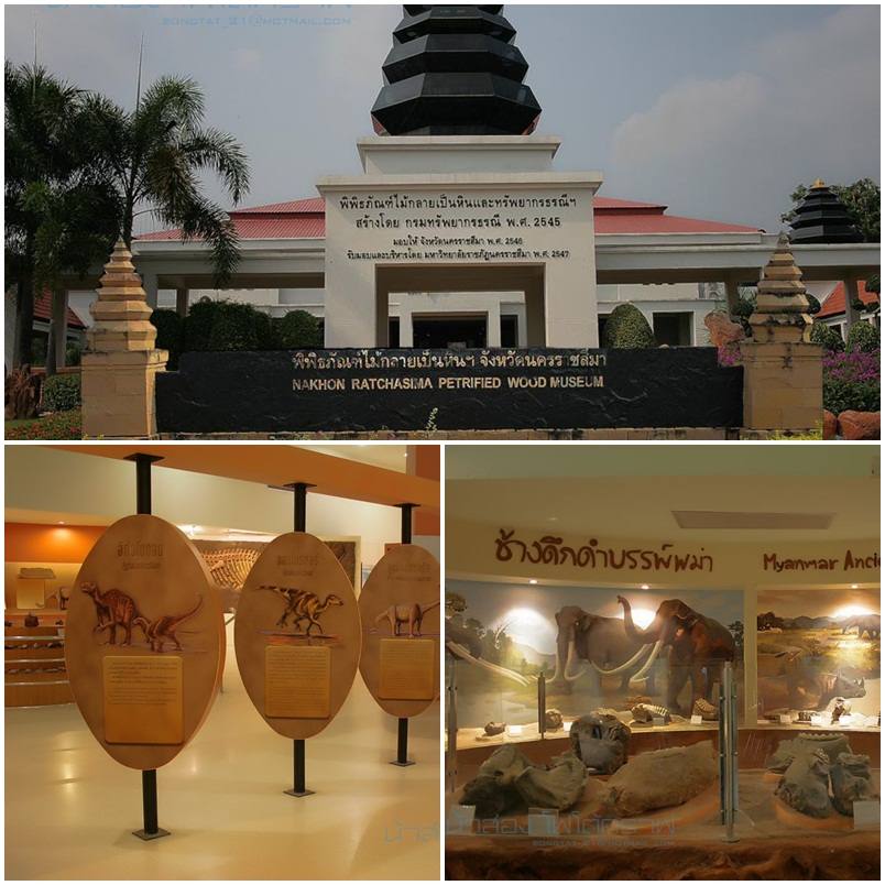 พิพิธภัณฑ์ไม้กลายเป็นหิน 1 ใน 7แห่งของโลก