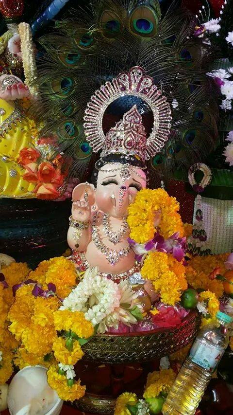 วันวิชัยทัสสมิ นวราตรี2014