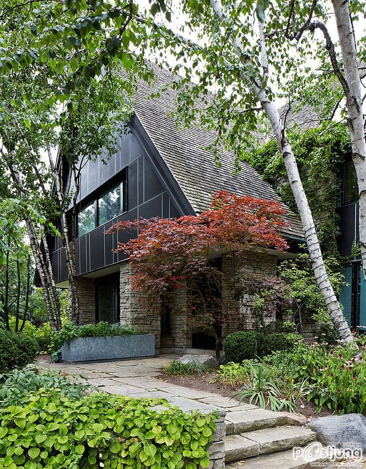 Gallery House by Taylor Smyth Architects