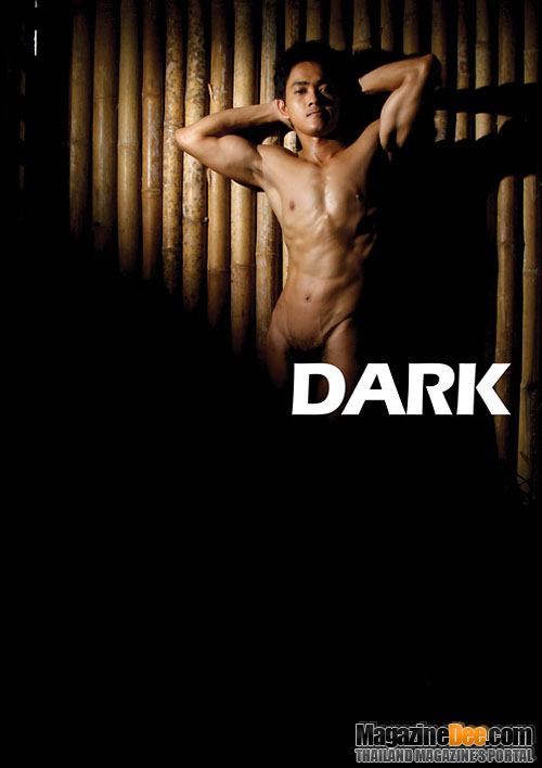 Dark Vol.1