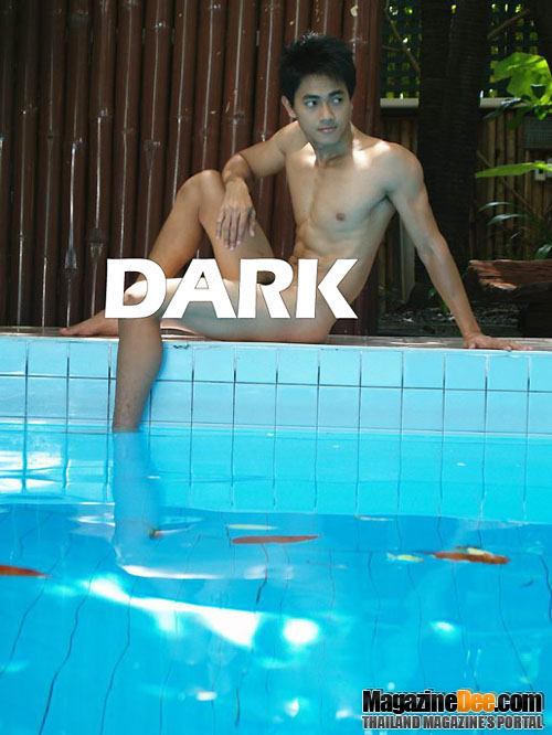 Dark Vol.1