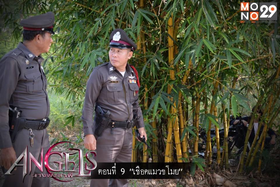 Angels นางฟ้าล่าผี ตอนที่ 9 : เชือดแมวขโมย