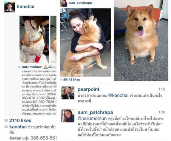 งามทั้งกายทั้งใจ โปรโมทงานตัวเอง ไม่สำคัญเท่า ช่วยสุนัขจรจัด!!