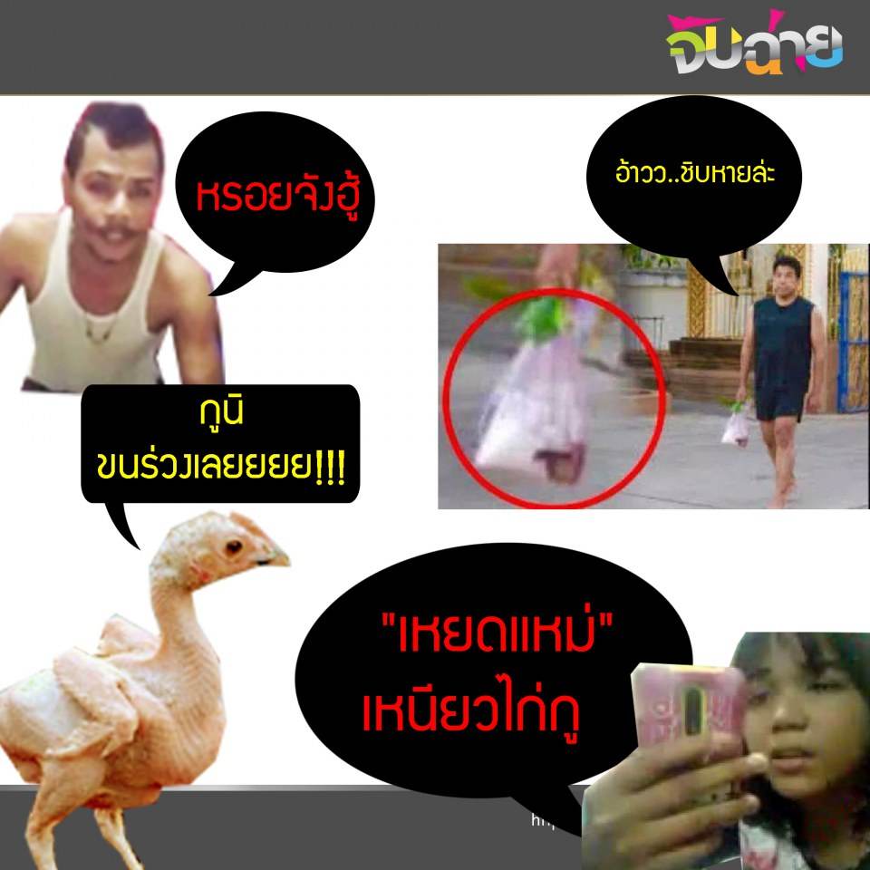 เหนียวไก่กูหาย