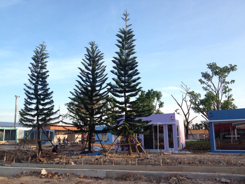 บุรีรัมย์เตรียมเปิดแหล่งช๊อปปิ้งสุดน่ารักแห่งใหม่ ธันวาคมนี้