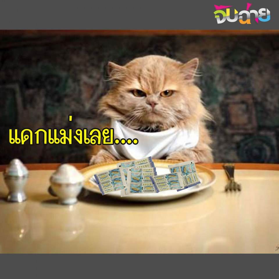 ถูกหวยแดกกกก