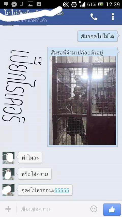 แล้วเธอก็เดินจากไปป์ 555