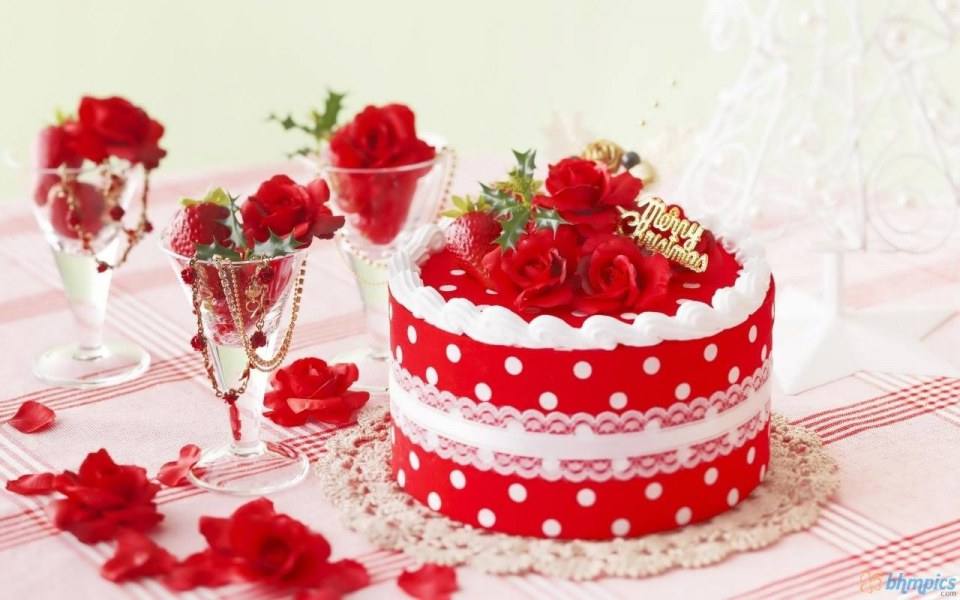 Christmas Cakes