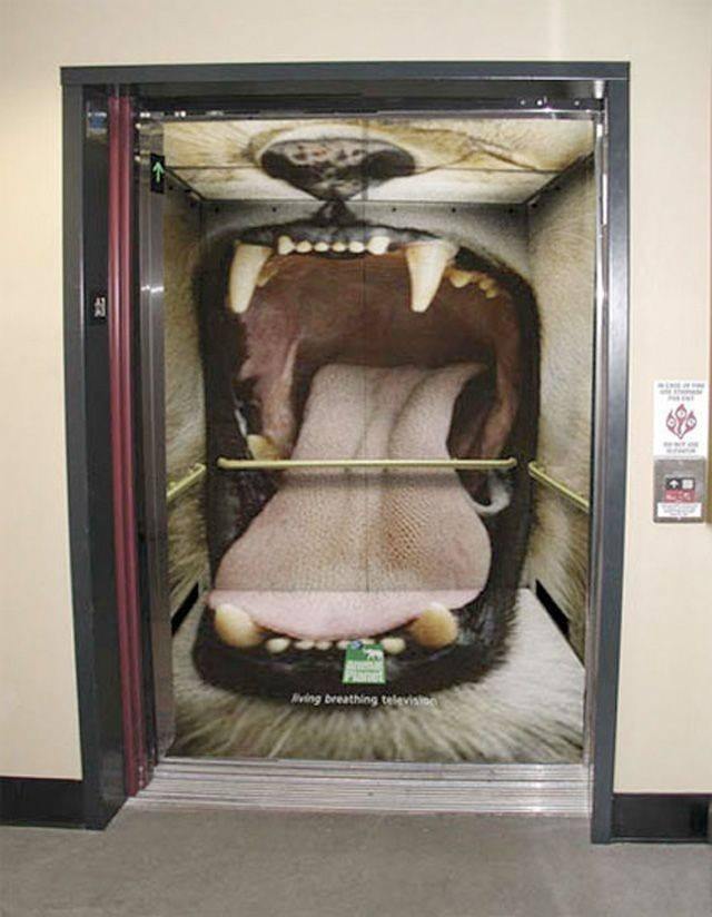 Creative 3D Elevator Art