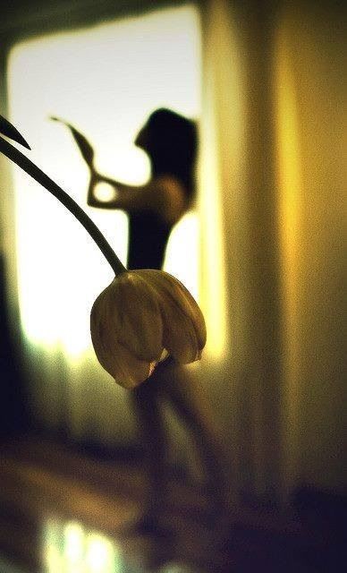 Forced Perspective Flower Girl Photography