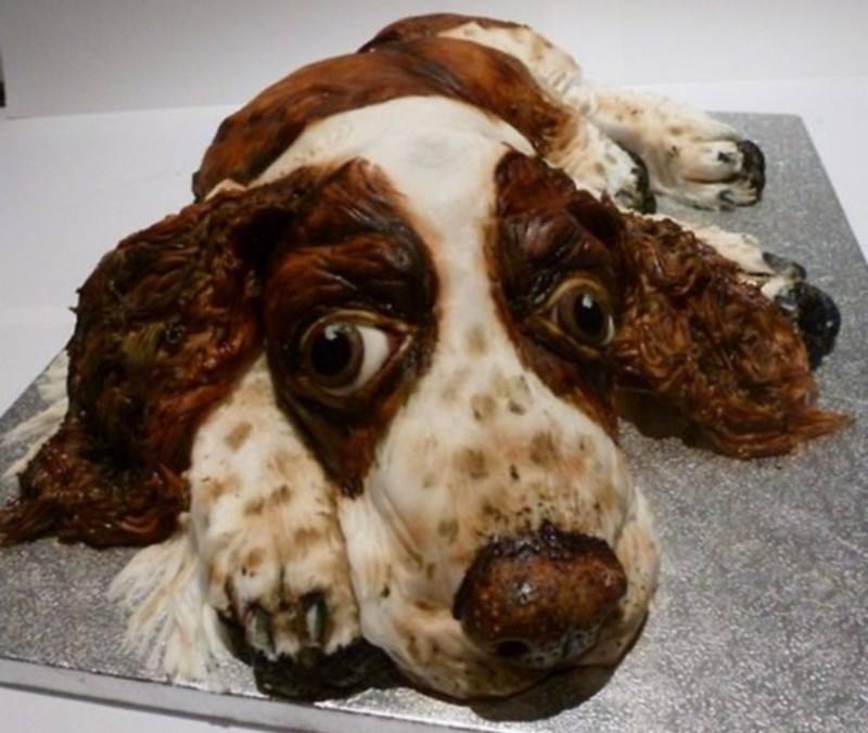 เค้กรูปสัตว์ บางอันก็ไม่กล้ากินนะ 555 Fantastic Cake Animals