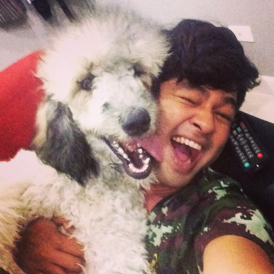 Standard Poodle (น้องชูใจ) พุดเดิ้ล