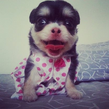 น่ารัก ป่ะ