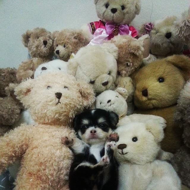 น่ารัก ป่ะ