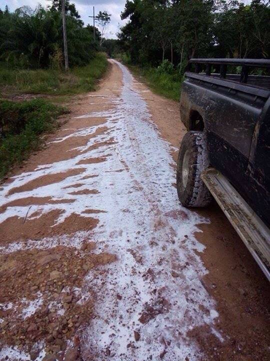 เทน้ำยาง
