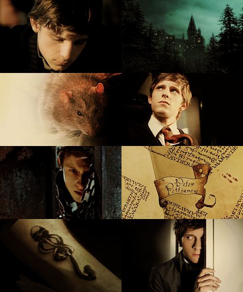 Jamie Bell as Peter Pettigrew.