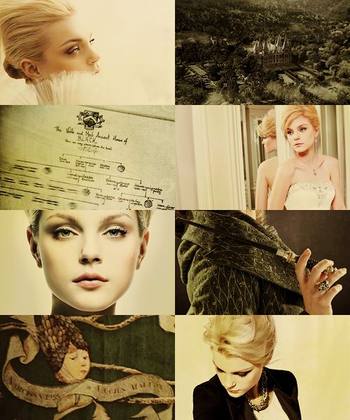 Jessica Stam as Narcissa Black (Malfoy).