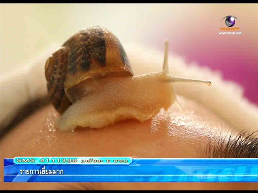 บ่นึกว่าสัดที่เฮาทังย้านทังขี้เดียด=เกลียด,จะกลายมาเป็นเครื่องบำลุงผิวพรรณไปได้ ขนลุก:สปาหอยทาก