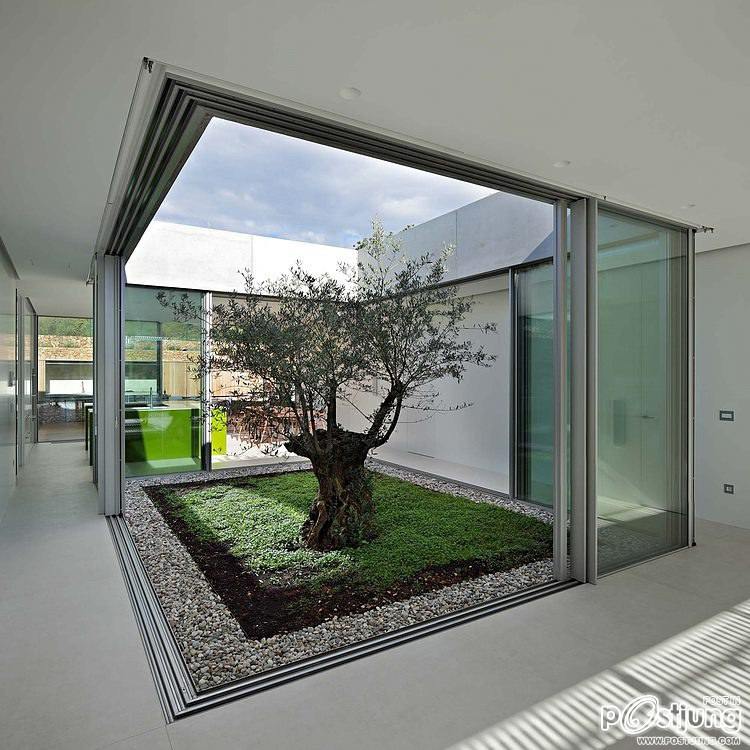Olive House by LOG-URBIS