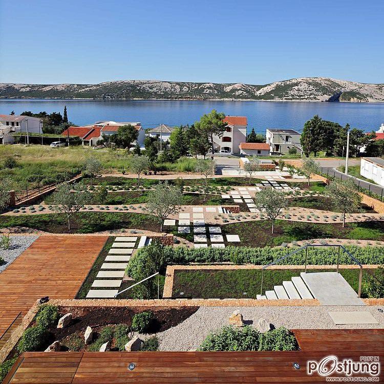 Olive House by LOG-URBIS