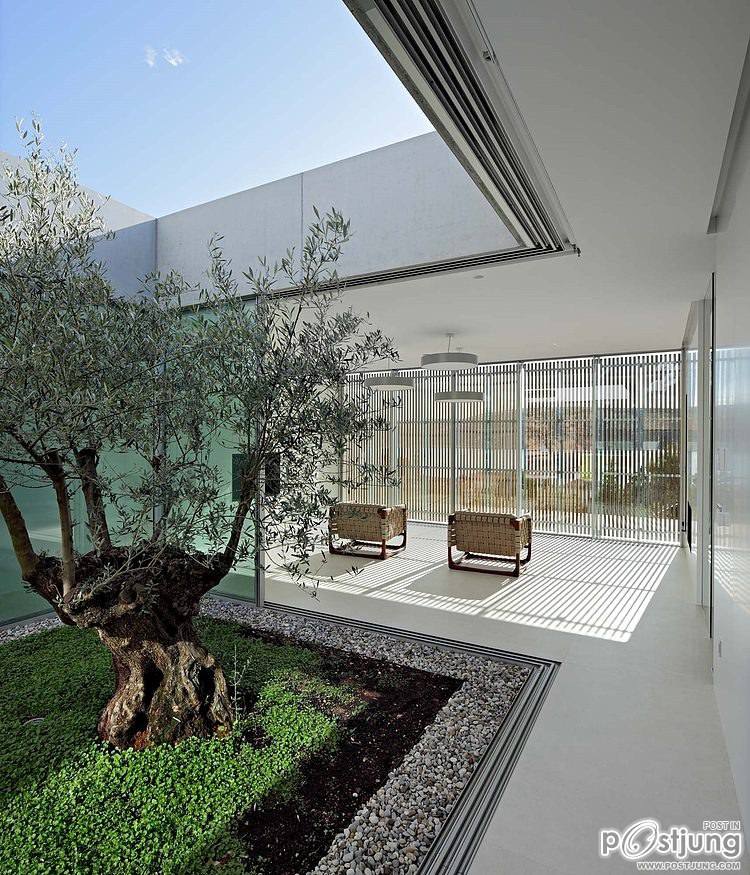 Olive House by LOG-URBIS