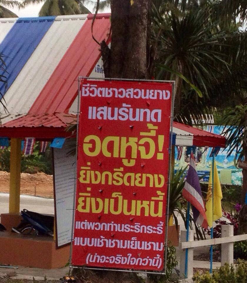 เห็นใจชาวสวนยาง