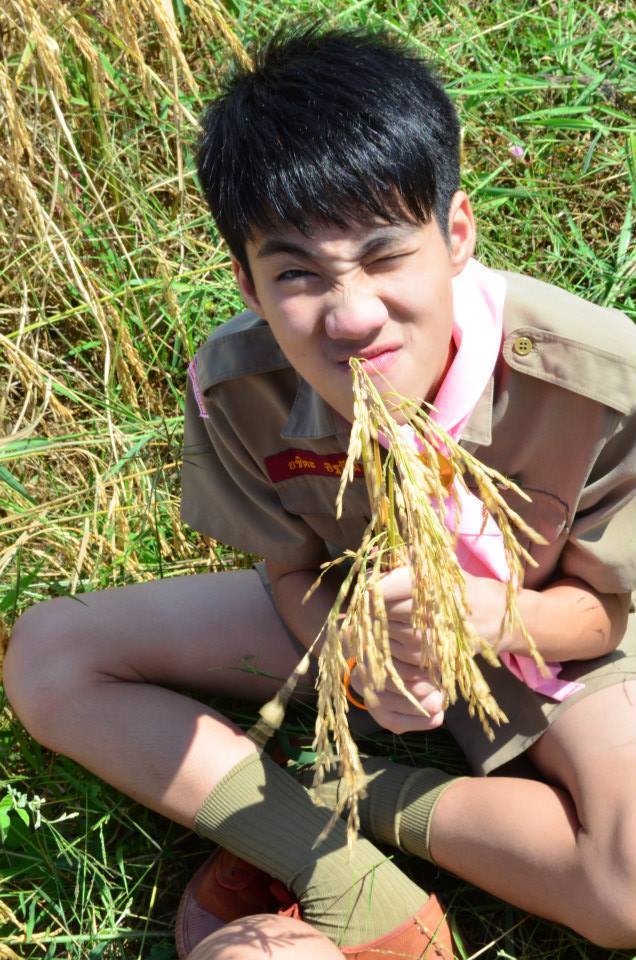 ป้าพาชิม 4