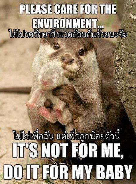 English Thai โดนใจไทยอังกฤษ (7)