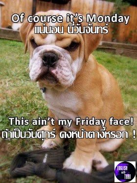 English Thai โดนใจไทยอังกฤษ (7)