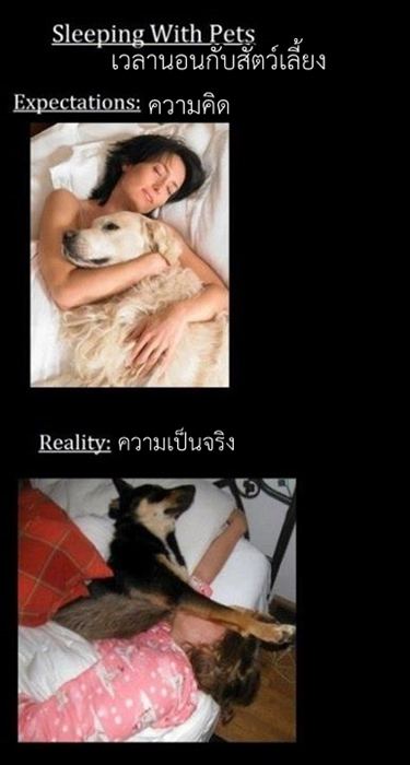 English Thai โดนใจไทยอังกฤษ (7)