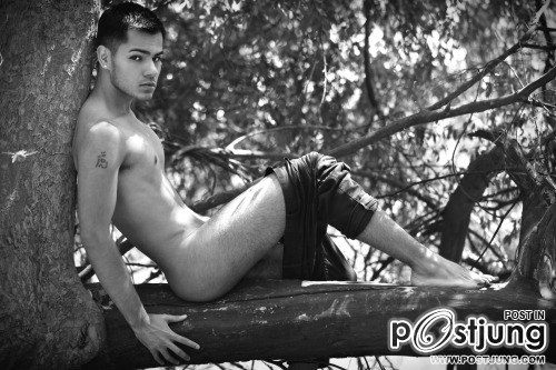 ถอดโชว์เรืองร่าง 728