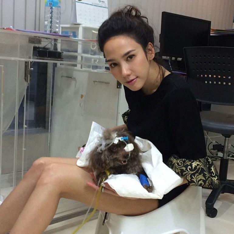 >เปิดโผคนดีศรีบันเทิง< 2557 ดาราน้ำดีตัวอย่างน่าชื่นชม "อั้ม-พัชราภา" ทำดีไม่สร้างกระเเส