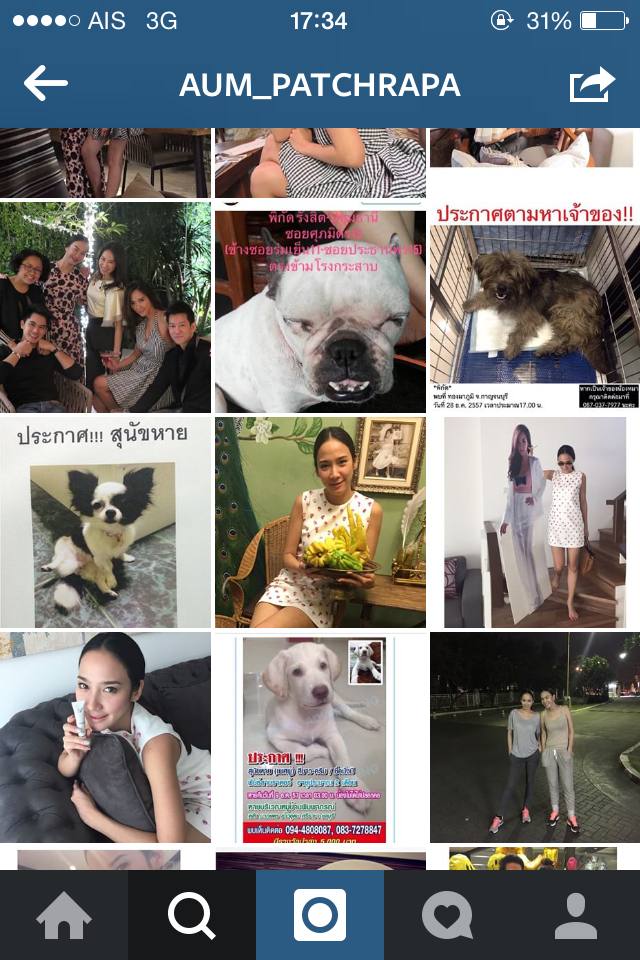 เรียกได้ว่าใน IG สาวอั้มจะช่วยประกาศสุนัขหายตลอด