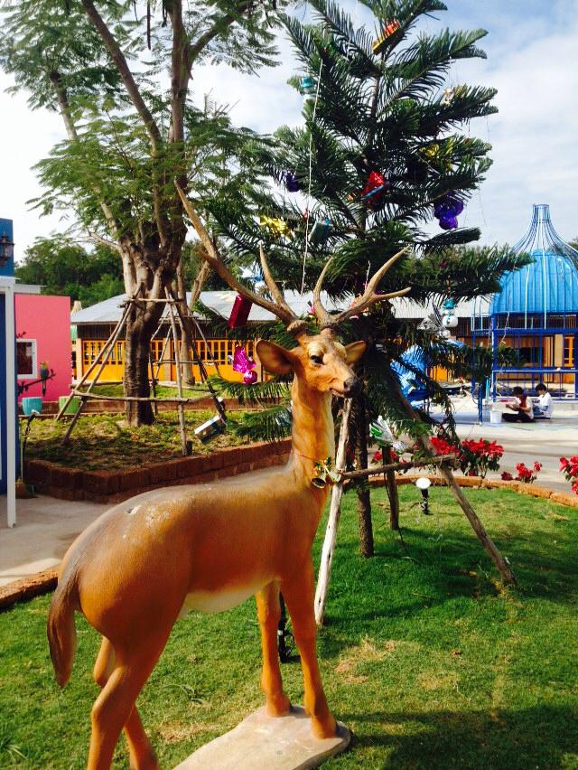 ตลาดไลฟ์ลี่ คอมูนิตี้มาร์เก็ตสุดน่ารักของชาวบุรีรัมย์