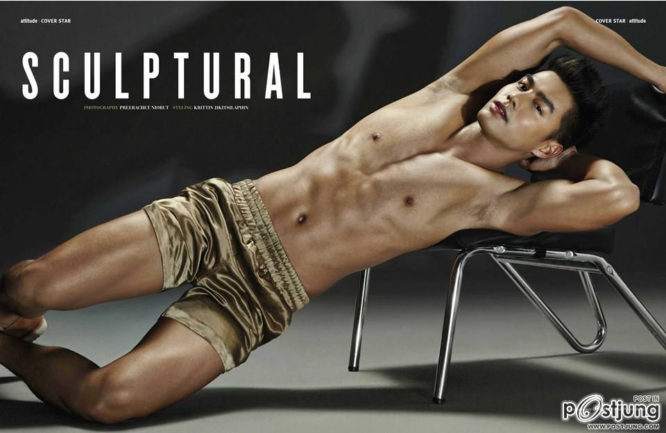 เพ็ชร-ฐกฤต @ ATTITUDE vol.4 no.47 January 2015