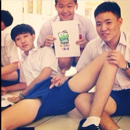 ป้าพาฟินอีกรอบ