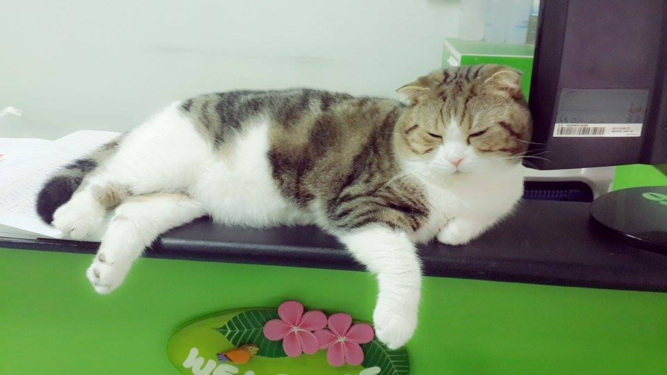 เฝ้าร้านให้แม่ พักสายตาแพร๊บ