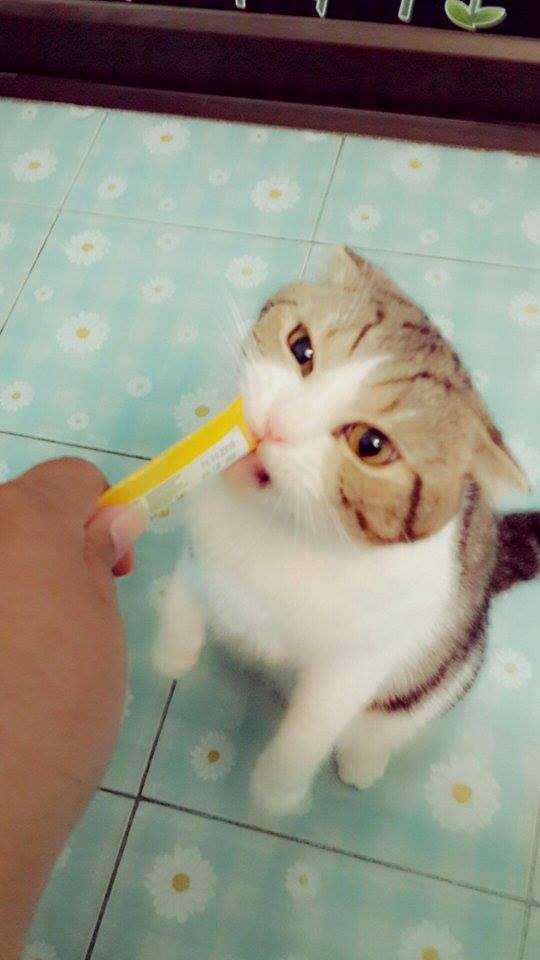 มันอร่อยมว๊ากกก