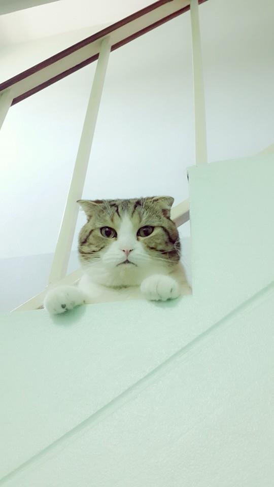สวัสดีเช้าวันอาทิตย์ฮับ