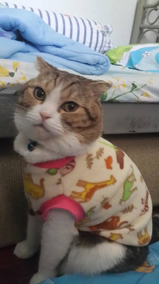 หนาวแล้วใส่เสื้อกันด้วยนะฮับ