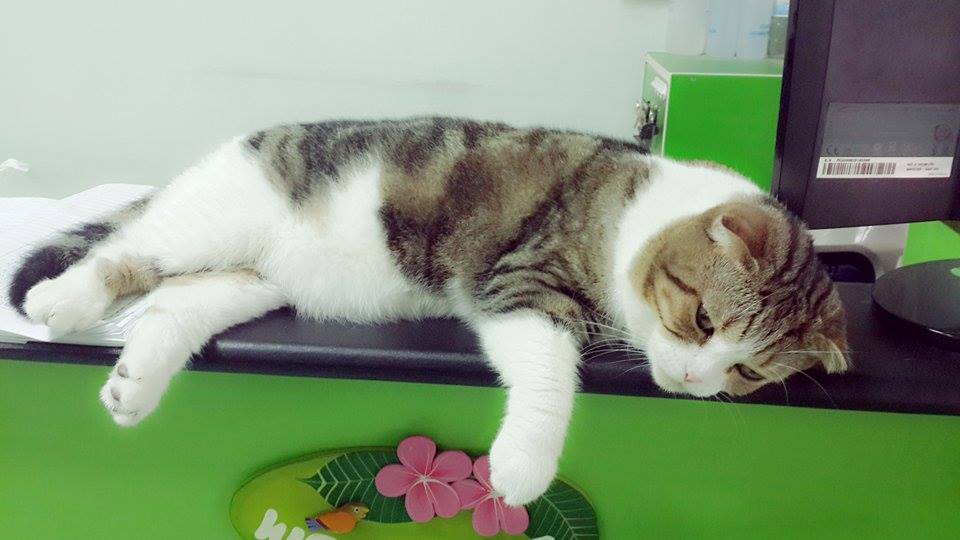 นอนเล่นนิดนุงนะ