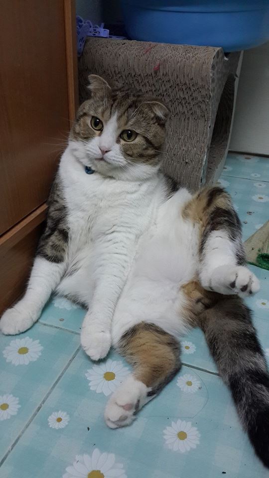 นั่งถ่างขาโชว์ฮะ
