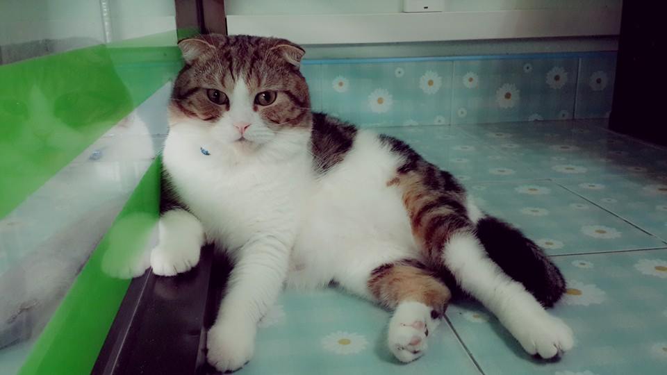 ชมวิวตอนเย็นฮับ