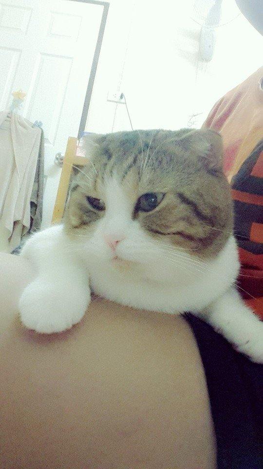 อ้อนแม่หน่อยนะ