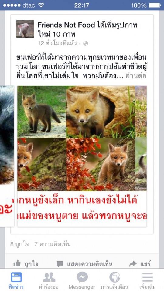 ขนเฟอร์ที่ได้มาจากความทุกข์ของเพื่อนร่วมโลก