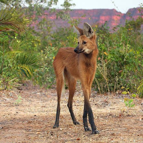 12 ภาพที่ดูเหมือนตัดต่อ แต่แท้จริงแล้ว ไม่เลย !